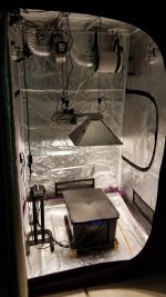 Grow_Tent.jpg