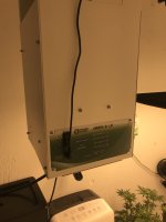 E7AF619F-9567-4175-BCB3-8FF02D3D2758.jpeg