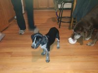 photo64124.jpg