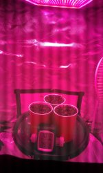 20181114_183613.jpg
