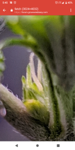 photo65340.png