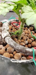 photo65524.jpg
