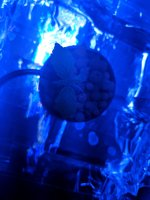 photo65773.jpg