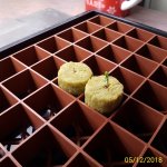 photo66052.jpg