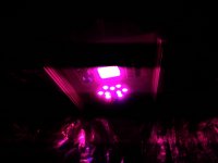 P_20181206_181040.jpg