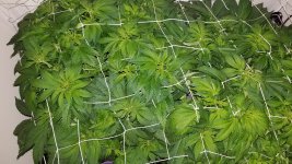 20181211_000123.jpg