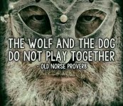 photo68881.jpg