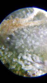20190122_204205.jpg