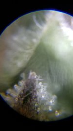 20190122_204141.jpg