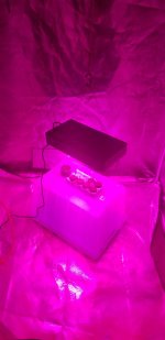 photo70032.jpg