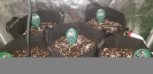 photo70054.jpg