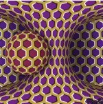 D51B07FD-9C01-490D-85DC-AE1F404F3B38.jpeg