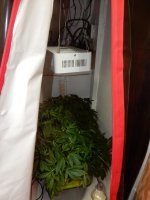 2-DSCN0728.JPG