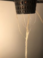IMG_7703.jpg