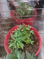 photo72714.jpg