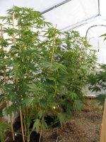 photo72930.jpg