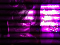 photo72979.jpg