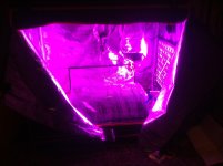 photo72984.jpg