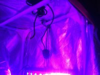 photo72986.jpg