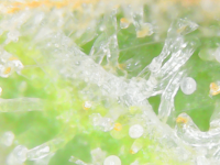 photo73123.png