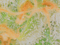 photo73124.png