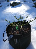 20190301_094117.jpg