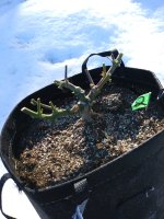 20190301_094145.jpg