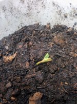 photo7902.jpg