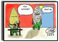 photo7930.png