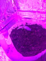 photo7958.jpg