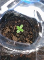IMG_20170118_010455.jpg