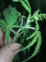 20170120_063236.jpg