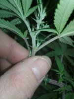 20170120_063206.jpg