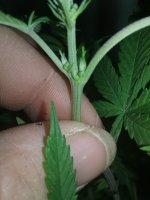 20170120_063109.jpg