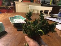 1798075E-44C3-411E-BA42-0BD1768F5554.jpeg