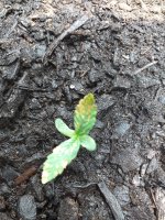 photo74879.jpg