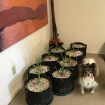 photo75499.jpg
