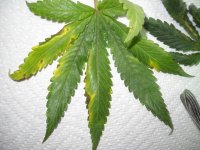 photo76007.jpg