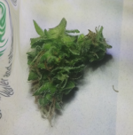 bud 20190415_214939.png
