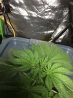 D71A7CDD-38F7-49E6-BF73-3064E42B8145.jpeg