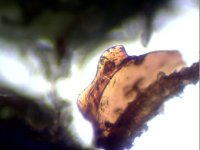 S20190425_007.jpg
