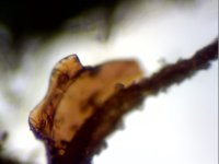S20190425_010.jpg