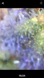 photo77752.jpg