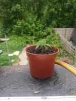 photo78937.jpg