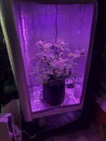 photo79029.jpg