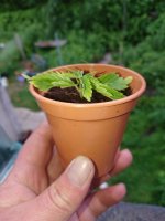 photo79314.jpg