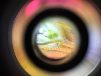 photo79632.jpg