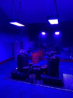 photo79685.jpg