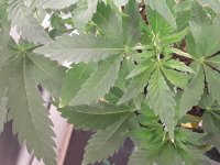 20190608_124702.jpg