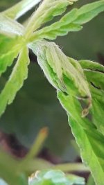 20190609_081625.jpg